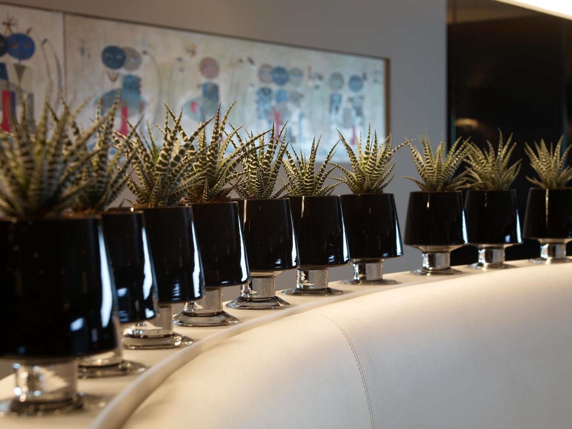 Hotel Shamrock ทิลต์ ภายนอก รูปภาพ